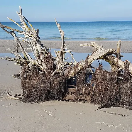 Haus Seeschwalbe, Fw 5 Zingst